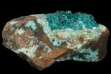 Dioptase, Shattuckite & Calcite Association - Tantara Mine, Congo #146746-1